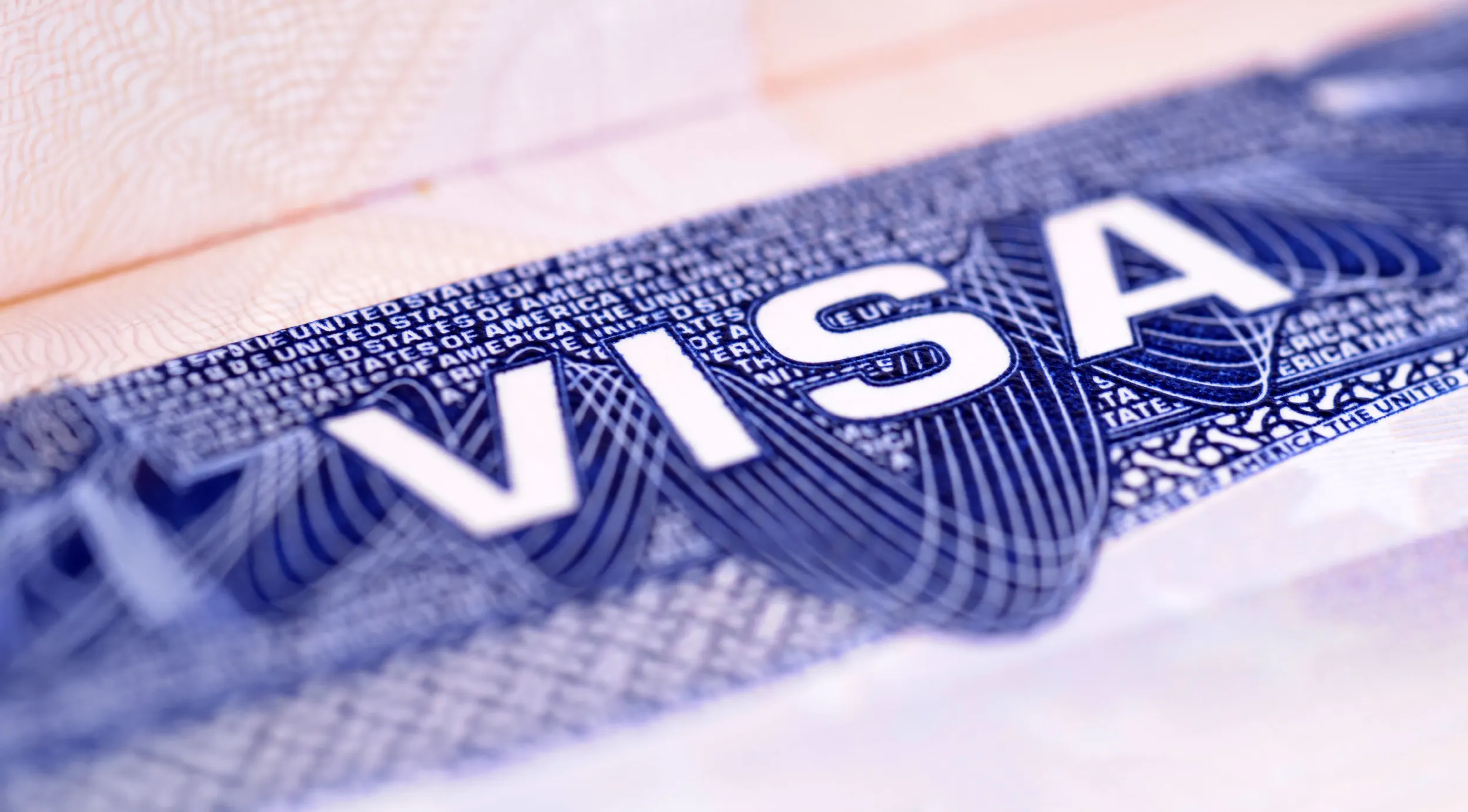Visa Hero